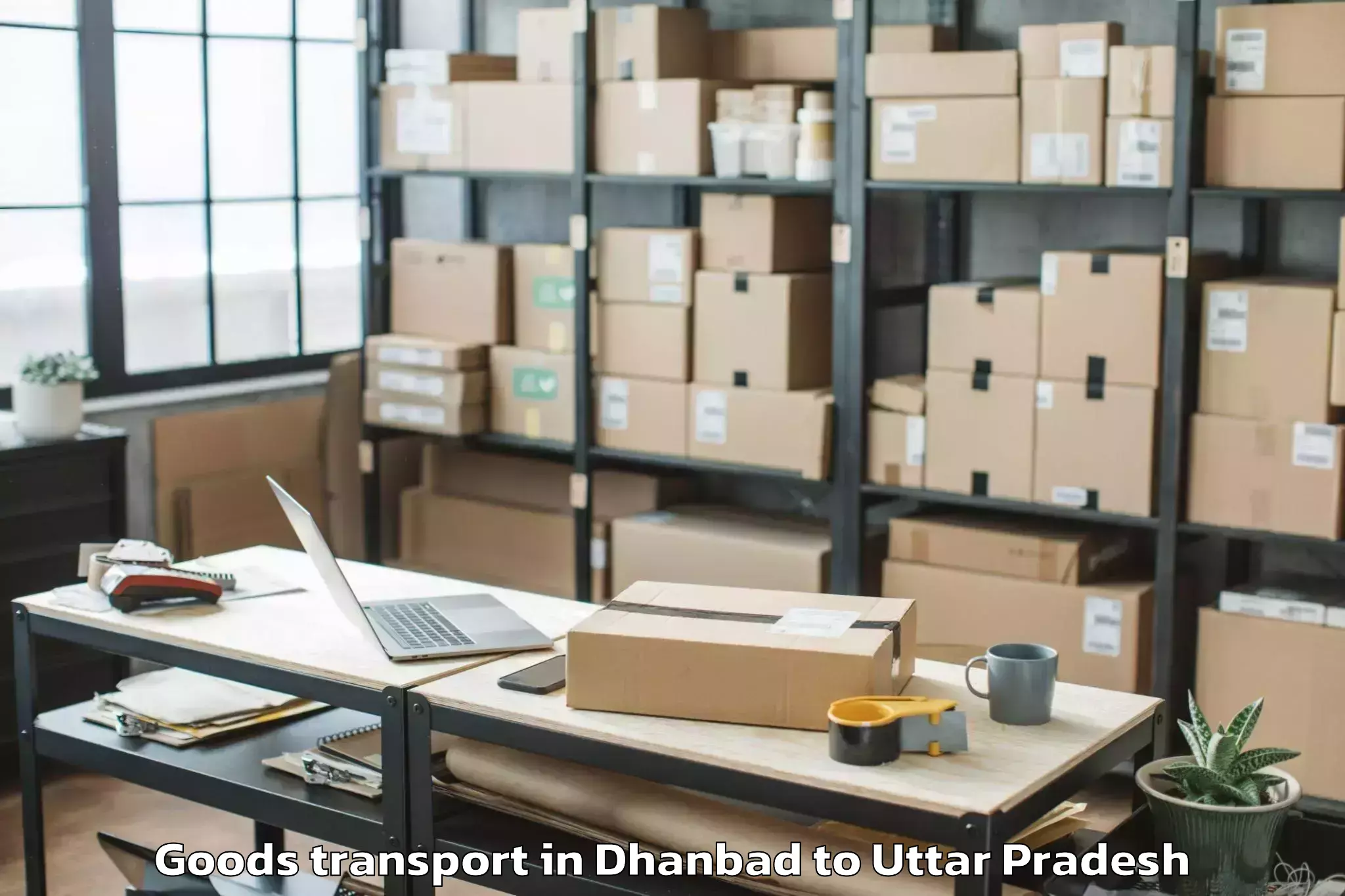 Book Dhanbad to Shankargarh Goods Transport